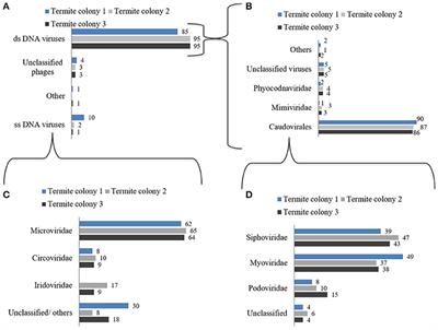 Metavirome Sequencing of the <mark class="highlighted">Termite</mark> Gut Reveals the Presence of an Unexplored Bacteriophage Community